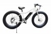 BINTELLI M1 Electric Bicycle for sale at Leonard Truck & Trailer, Inc., Ohio